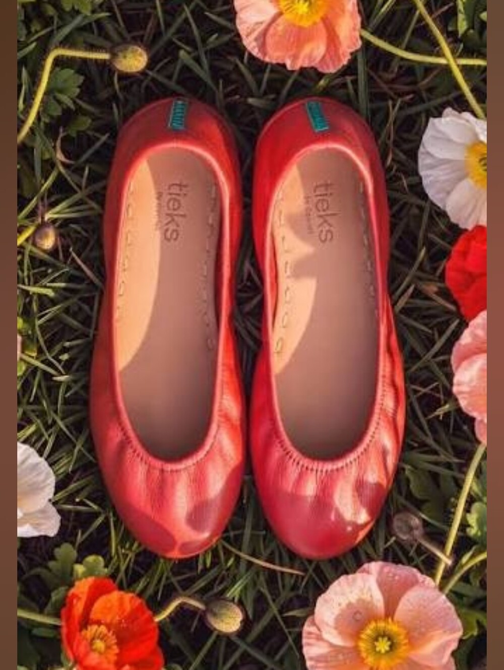 Tieks Shoes